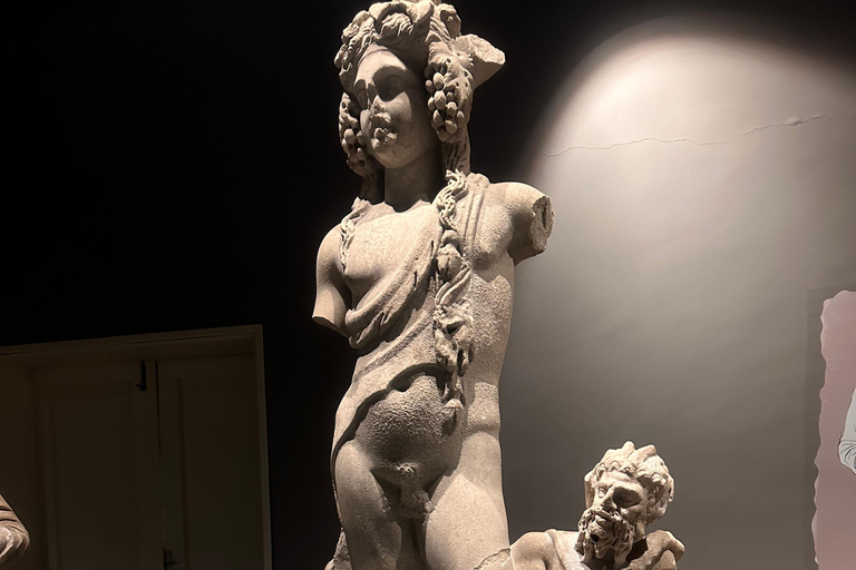 From Selçuk: 2 Day Ephesus and Pamukkale Mix Tour Private Tour Option