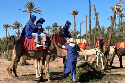Camel Ride Adventure Through Marrakech’s Desert Villages