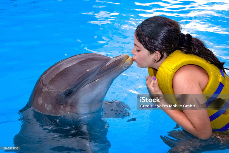 Punta Cana: Punta Cana Dolphin Encounter + Sea Lion Kiss Punta Cana: Dolphin Explore Swims and Encounters