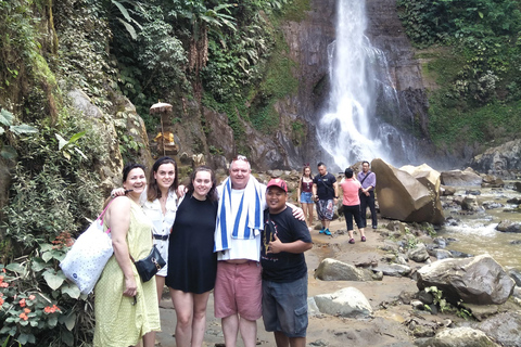 Bali: A cascata na selva persegue o teu sonho tour particular
