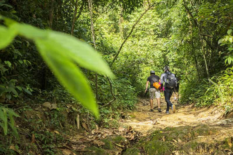 Jungle Trekking