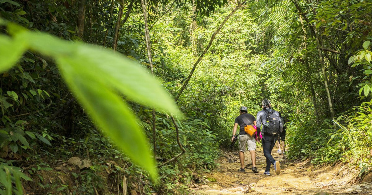 Phuket: Jungle Trekking Experience at Khao Phra Taew | GetYourGuide