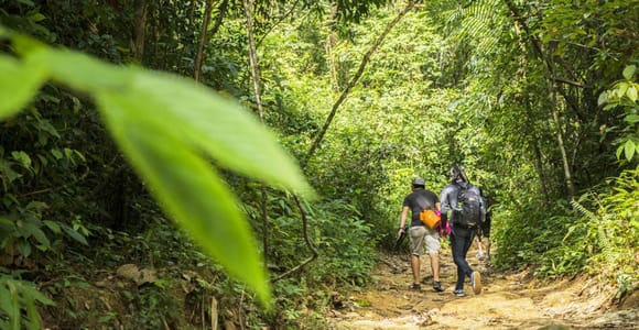 Phuket: Dschungel-Trekking in Khao Phra Taew