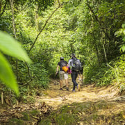 Phuket: Jungle Trekking Experience at Khao Phra Taew