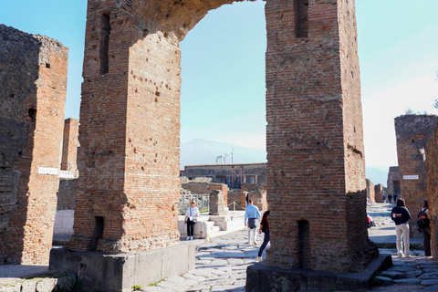 From Sorrento: Pompeii Skip-the-Line, Train Tkt & Tour