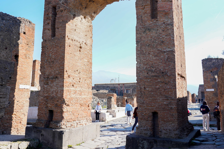 From Sorrento: Pompeii Skip-the-Line, Train Tkt & Tour