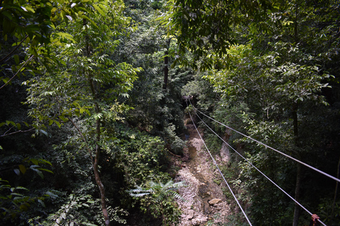 Damajagua: Aventura em tirolesa e cachoeira com almoço