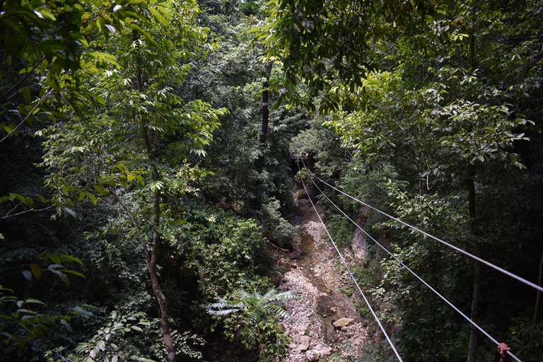 Damajagua : Aventure en tyrolienne et cascade avec déjeuner