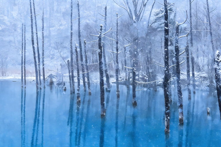 Hokkaido Winter Shikisai no Oka, Blue Pond (Dec.10 - Mar.10) 10:40 am meet at JR Sapporo Station North exit