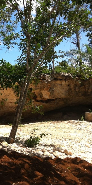 Tulum Cenotes: Yum Ha, Luna, and Sombra Cenotes Tour, lunch | GetYourGuide