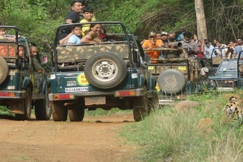 Carro e motorista particulares Excursão de Bangalore a Bannerghatta