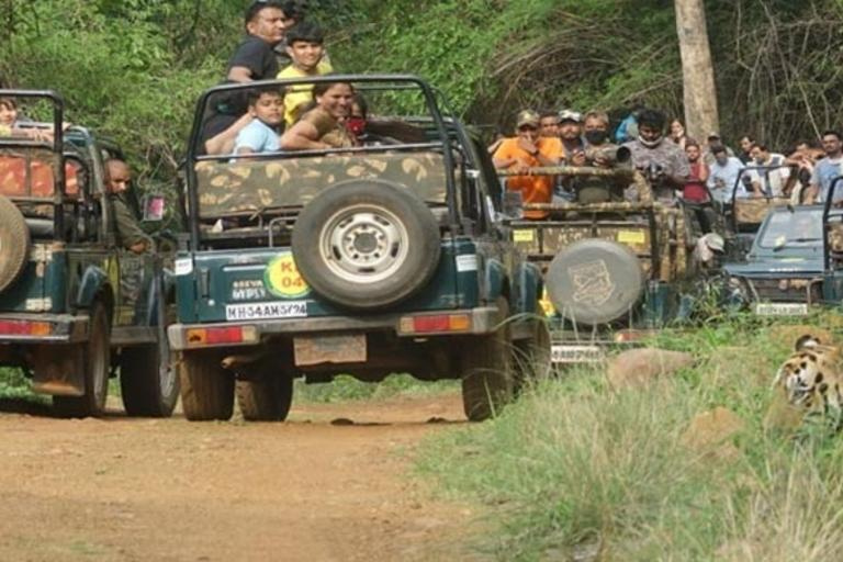 Coche y conductor privados Excursión a Bannerghatta en Bangalore