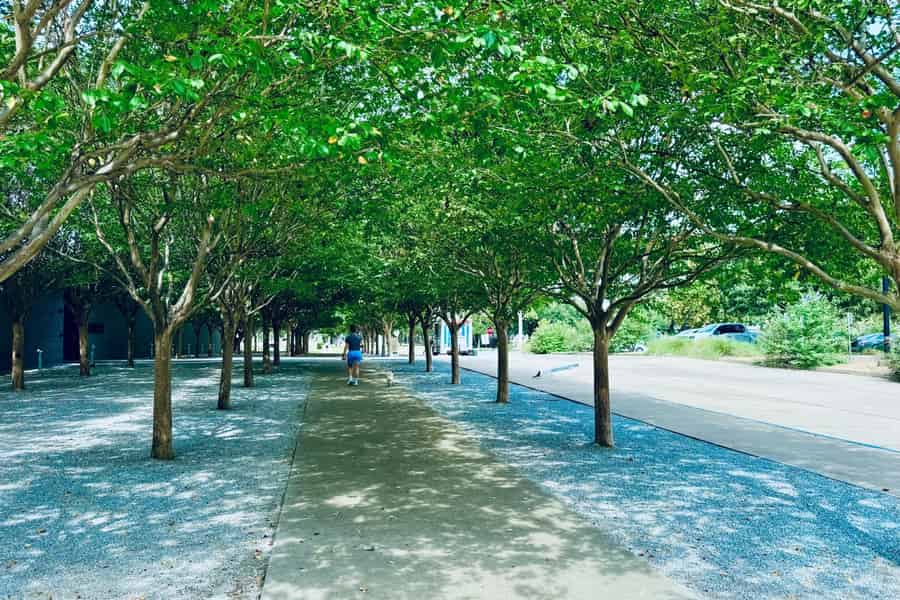 Houston: Privater, geführter Rundgang zu jüdischen Sehenswürdigkeiten. Foto: GetYourGuide