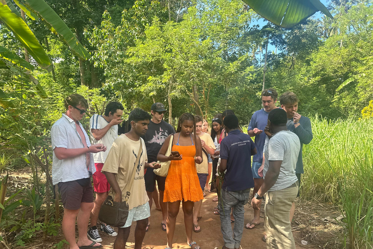 Zanzibar: Stone Town, Spice Farm,Prison Island with Lunch Shared Group Tour Without Prison Island Entry Fees