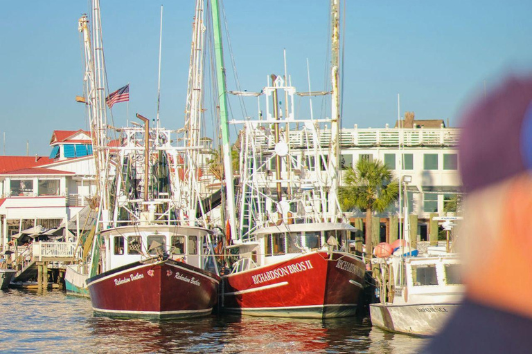 Charleston: Saturday Afternoon Harbor Sail on a Catamaran