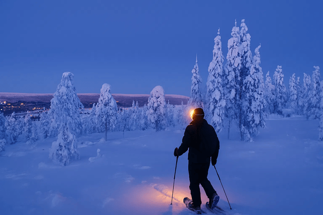 Rovaniemi: Guided Snowshoeing Forest Escape