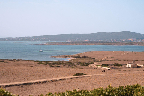 من ستينتينو جولة شاحنة أسينارا الصغيرة