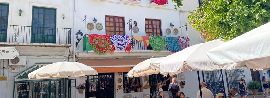 Depuis Estepona, Mijas, Marbella : visite privée de Marbella avec transport, tapas et boissons