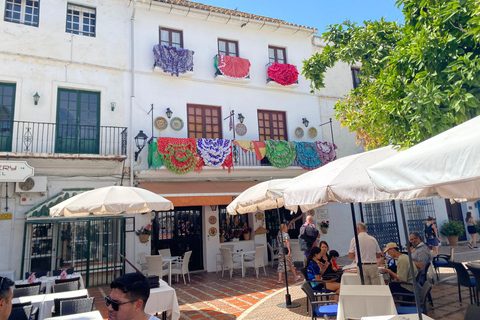Marbella: Private Guided City Walking Tour with Tapas Tasting Marbella: Private guided city tour with tapas tasting