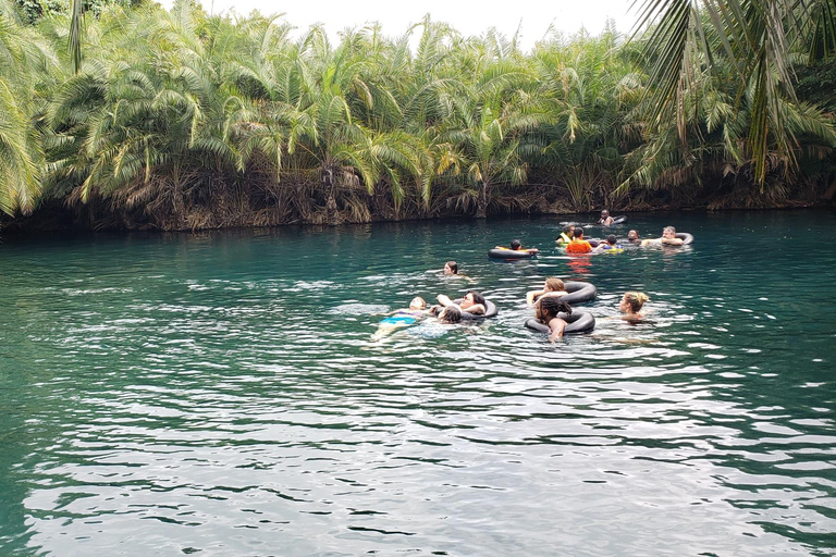 Moshi: Viagem de 1 dia às Termas de Chemka