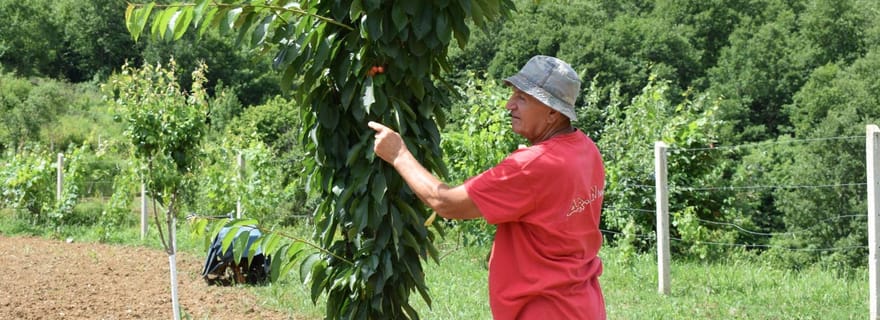 Journée pratique à la ferme à Plesat avec déjeuner traditionnel albanais