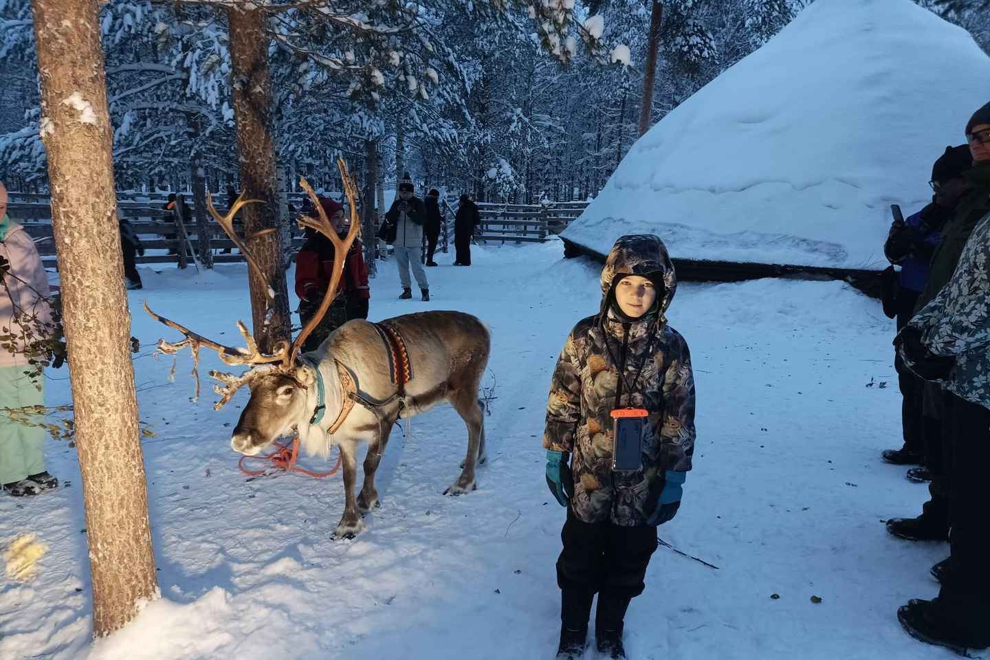 Rovaniemi: Entrada al Parque de Vida Silvestre de Ranua con Transporte