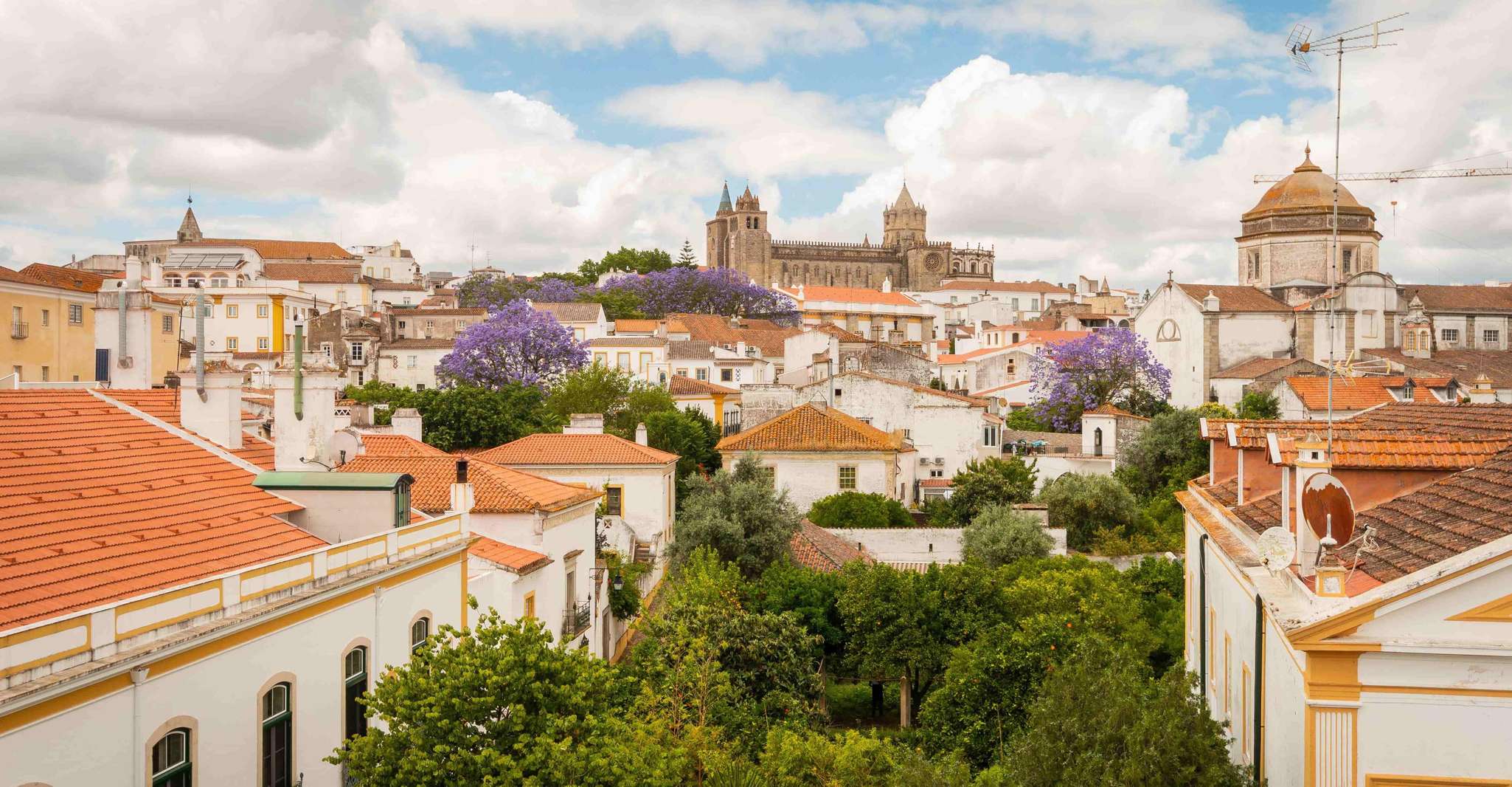 Évora Full Day Tour - Housity