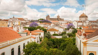 Évora Tour de día completo - Housity