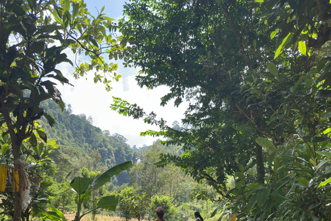 Moshi/Arusha: Chemka Hot Springs Materuni Waterfall Day tour 2 in 1 : Materuni & Chemka tour from Moshi