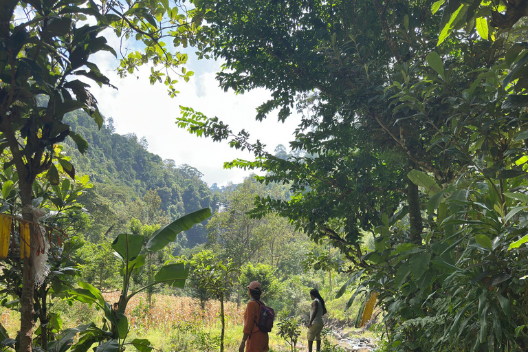 Moshi/Arusha: Chemka Hot Springs Materuni Waterfall Day tour 2 in 1 : Materuni & Chemka tour from Moshi
