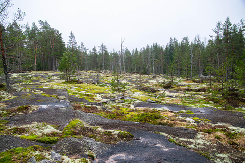 Nuuksio Nationaal Park wandelervaring vanuit Helsinki