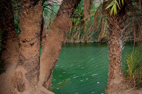 Heraklion: Kourtaliotiko Gorge, Preveli Beach Tour & Kalypso