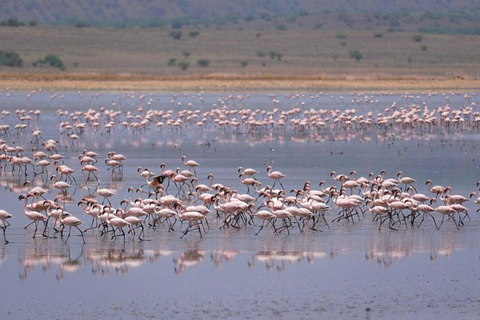Day Trip to Lake Magadi from Nairobi