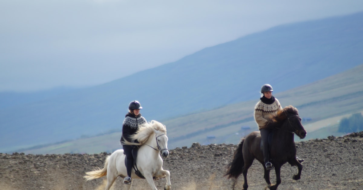 North Iceland: Horseback Riding Tour | GetYourGuide