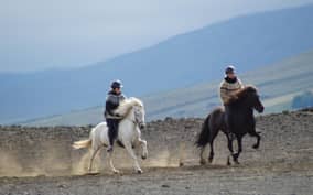 North Iceland: Horseback Riding Tour