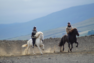 Passeggiate a cavallo a Fludir