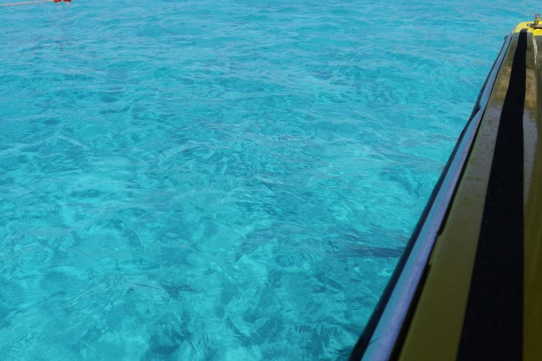 Comino:Blaue Lagune, Kristalllagune, Höhlen, Privatboot Malta