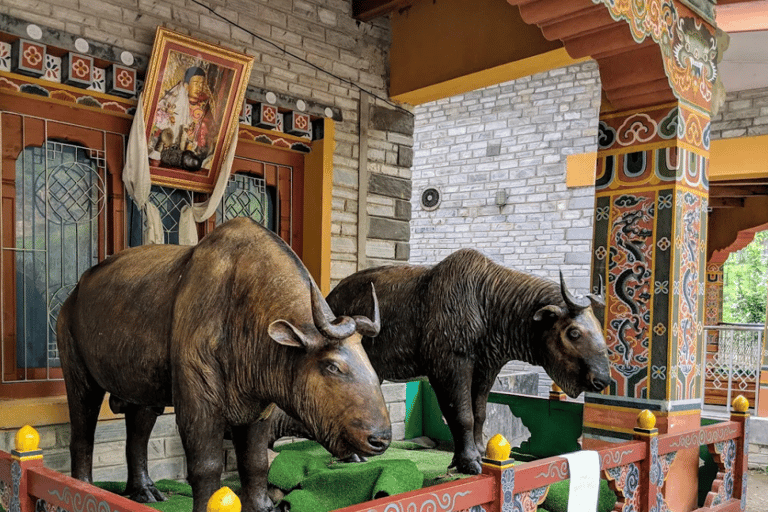 All Inclusive Thimphu Full or Half Day City Tour with Lunch