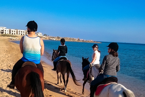 Desde Hurghada: Excursión a Caballo por la Bahía de Makadi