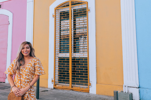 Puerto Plata City & Culture Highlights Tour