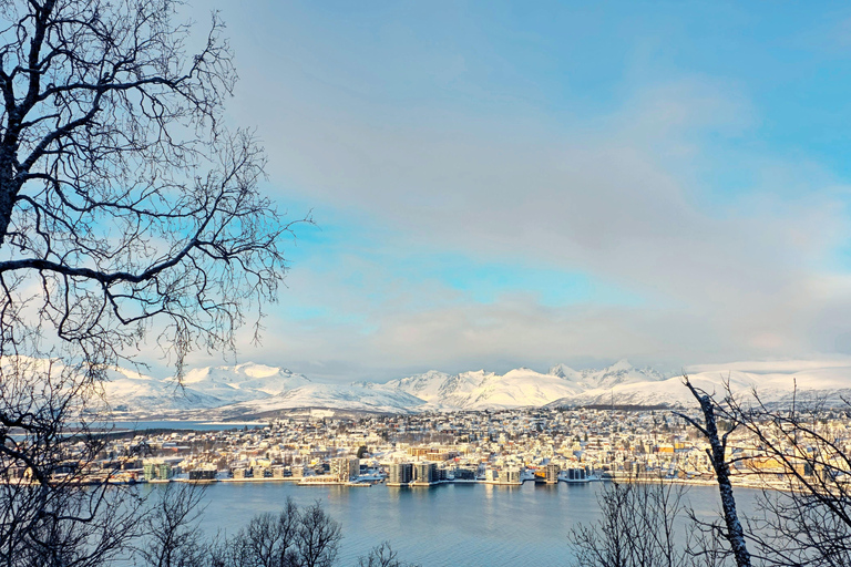 Tromsø Street to Wilderness: Guided Snowshoe Hike