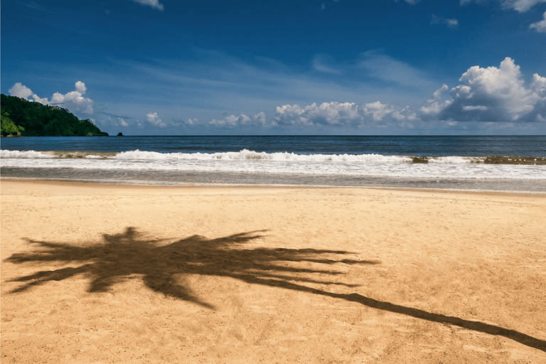 Trinidad: Tour de lo más destacado con Maracas Bay