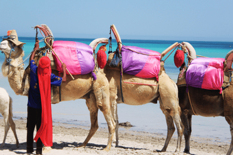 Explore Djerba on a Camel through Palms & Beach