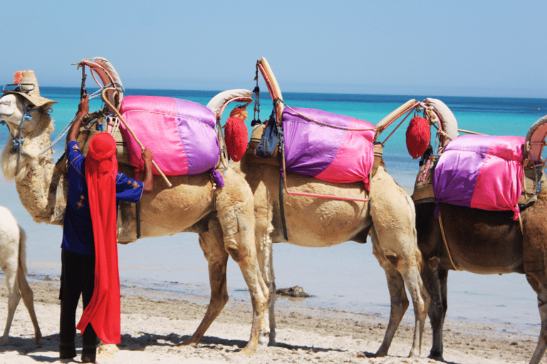Explore Djerba on a Camel through Palms & Beach