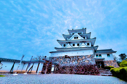 Gujo Hachiman Day Trip: Mountain Castle & Traditional Town The popular Gujyo town tour