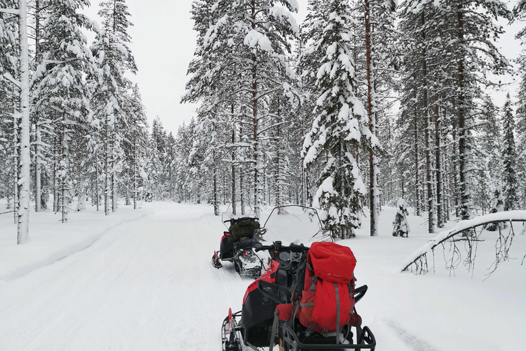 Rovaniemi : Safari de 2 heures en motoneige au début de l&#039;hiver