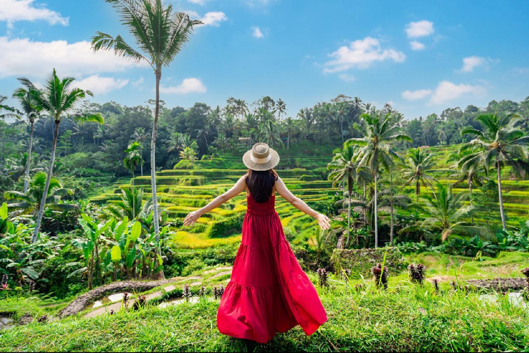 Ubud: Cascadas, Templo del Agua y Terrazas de Arroz Tour privadoTour privado con entrada Tikets