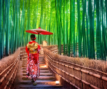 Osaka/Kyoto: Private Kyoto and Nara Day Trip