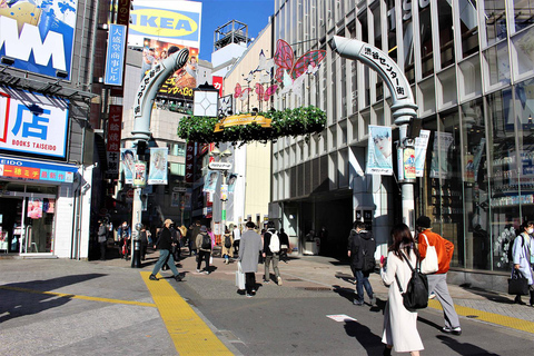 From Osaka: 5-Day Japan Highlights Tour to Tokyo