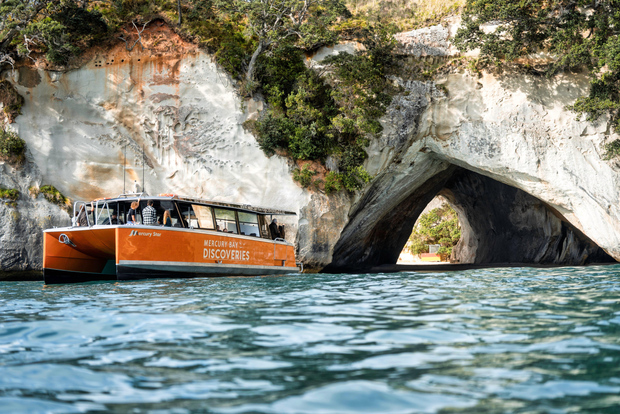 Cathedral Cove Küste und Höhle Tour